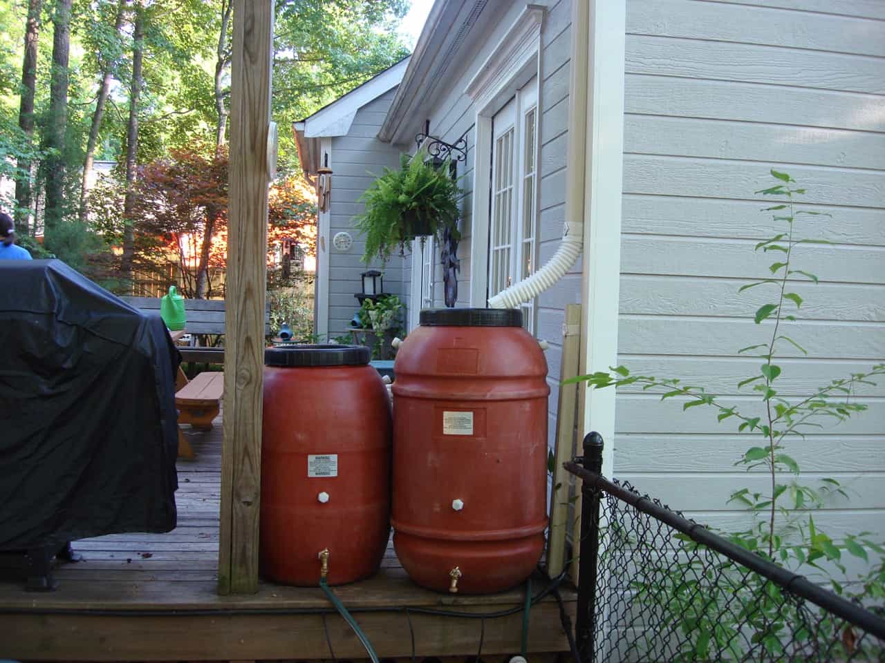 rainbarrel